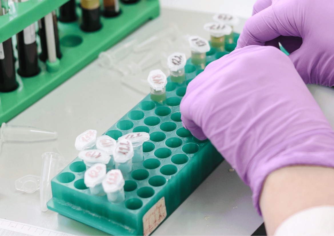 Laboratorio Bioplast